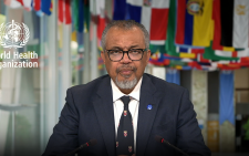 World Malaria Day: WHO urges urgent action as malaria deaths