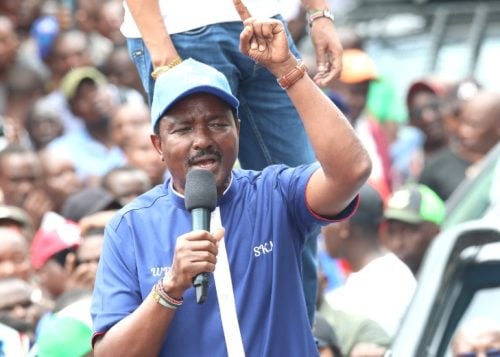 Wiper Patriotic Front leader Kalonzo Musyoka. PHOTO/https://web.facebook.com/kalonzomusyoka