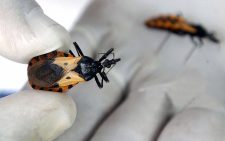 Key facts about Chagas disease, responsible for up to 10,000 deaths annually