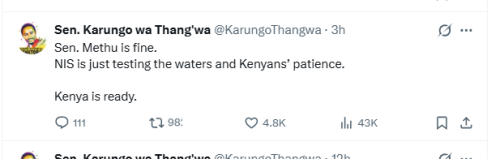 Kiambu Senator Karungo Thang'wa post on X account on Monday, April 13, 2026. PHOTO/Screengrab by People Daily Digital/@KarungoThangwa/X