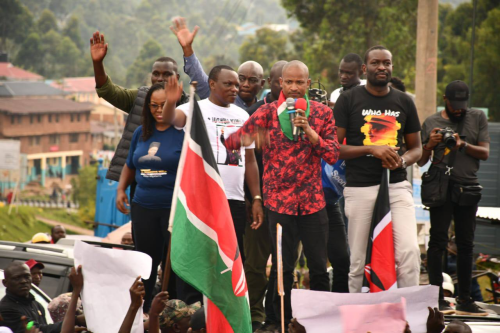 A section of Linda Mwananchi leaders during the Linda Mwananchi engagements in Vihiga. PHOTO/https://www.facebook.com/MPKimilu