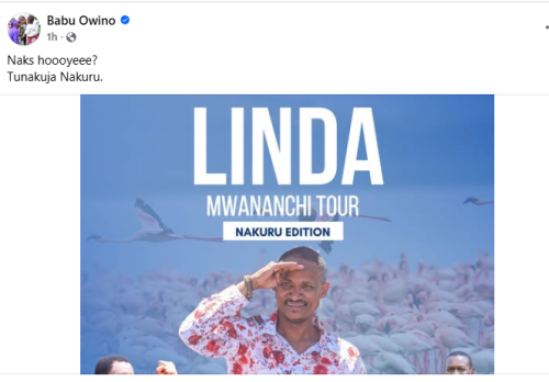 Babu Owino's announcement of Linda Mwananchi tour. PHOTO/Screengrab by People Daily Digital/https://web.facebook.com/babuowinongili/FB