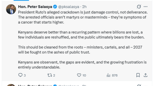 X post by Peter Salasya on Monday, April 6, 2026. PHOTO/Screengrab by People Daily Digital/@pksalasya/X