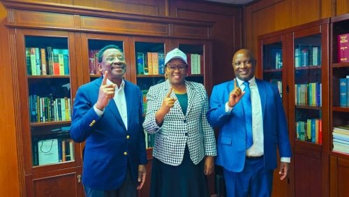 Kawira Mwangaza with Siaya Governor James Orengo and Vihiga Senator Godfrey Osotsi. PHOTO/https://www.facebook.com/Hon Kawira Mwangaza