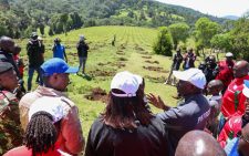 Cherangany restoration plan launched amid warning over climate-linked insecurity