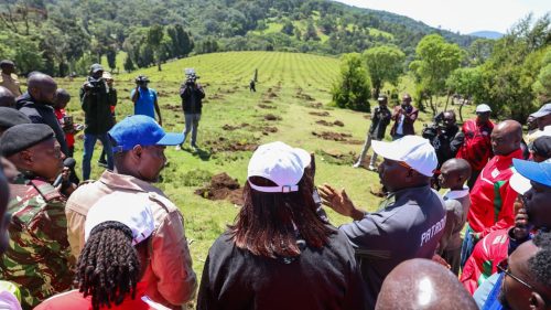 Interior Cabinet Secretary Kipchumba Murkomen watering a tree after launching a major conservation push in the Cherangany Hills. PHOTO/https://web.facebook.com/OnesimusKipchumbaMurkomen/Facebook
