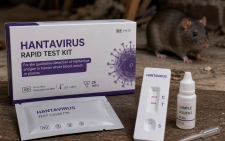 Hantavirus cases in Britain rise to 3 as spread continues