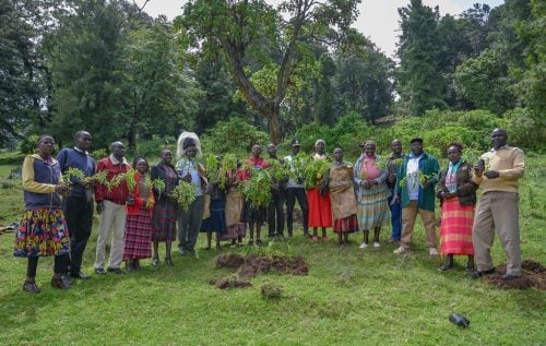 Community members in the Kapyego block of Cherangany, Marakwet East, who have welcomed the CHERISH programme as part of efforts to restore degraded forest landscapes and protect the ecosystem from further destruction.
