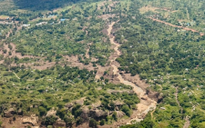 Chesongoch landslides spark urgent push to restore Cherangany ecosystem