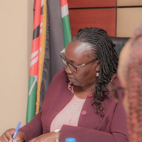 CS Hanna Cheptumo Wendot chairing a high-level multi-agency meeting on the protection of children in Kenya, bringing together key government agencies on Monday, May 25, 2026. PHOTO/@hannawcheptumo/X