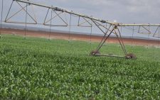 Kenya adopts satellite-based earth observation technology to boost food security