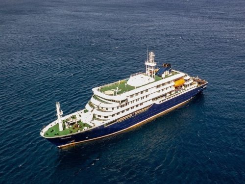 Hantavirus outbreak on the cruise ship MV Hondius has tragically resulted in three deaths. PHOTO/@RealAliVoice/X