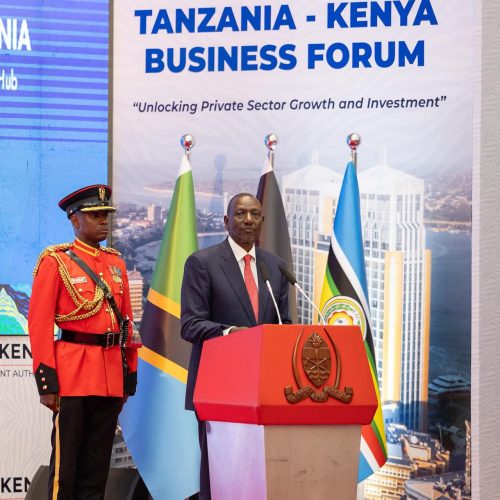 William Ruto whie addressed the Tanzania-Kenya Business Forum in Dar es Salaam. PHOTO/@WilliamsRuto/X