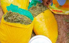 One arrested as police intercept 3kg of cannabis at Kanyonyoo roadblock