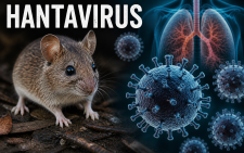 WHO says 12th person infected with hantavirus detected in the