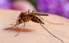 Weatherman explains malaria outbreak risk with Nandi as the hotspot