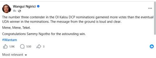 Purity Ngirici is the DCP's party primaries winner in Ol Kalou. PHOTO//Screengrab by People Daily digital
