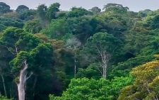 KFS announces public participation on proposed airstrip in Imenti forest despite court order