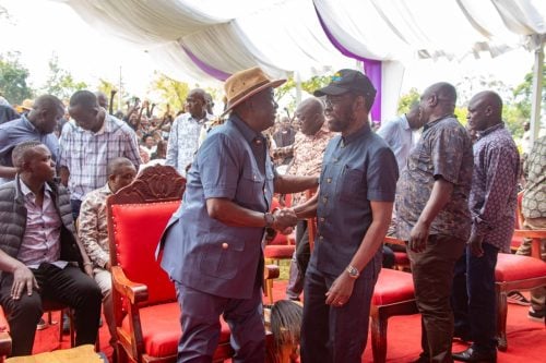 Oburu Odinga greets Kisumu Governor Anyang’ Nyong’o during the burial in Gem, Siaya County. PHOTO/https://www.facebook.com/DR. OBURU Oginga