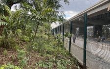 Green Belt Movement raises alarm over Uhuru Park encroachment plan