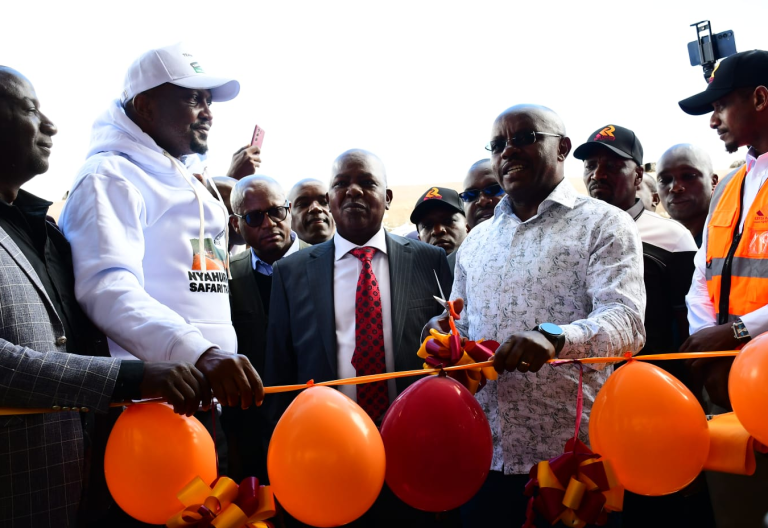 UDA vs DCP: How Ruto has deployed govt heavyweight