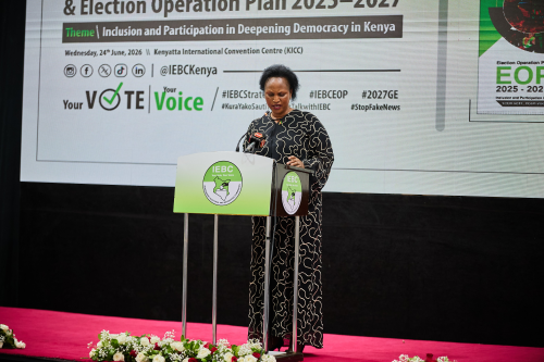 IEBC Commissioner Ann Nderitu, who chairs the Election Operations Committee. PHOTO/@IEBCKenya/X