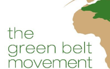 Green Belt Movement condemns plan to excise Imenti Forest for development projects