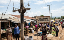 Traders in Homa Bay’s Ringa market decry bee menace after reported fatal attacks