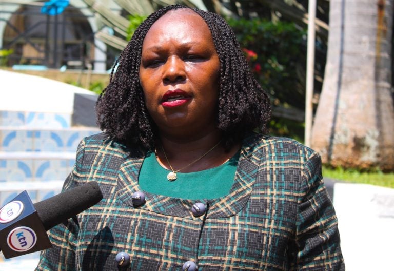 Counties push for bigger role in shaping public-private partnership law to unlock investments