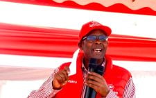 Jubilee Party condemns Gachagua’s tourism boycott remarks