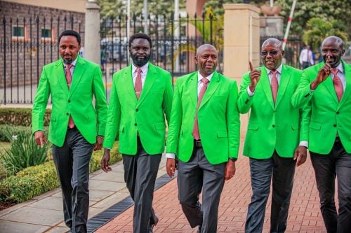 Democracy for the Citizens Party (DCP) senators, led by Nyandarua Senator John Methu, don party colours during a parliamentary sitting on Tuesday, July 21, 2026. Photo//https://www.facebook.com/KarungowaThangwa