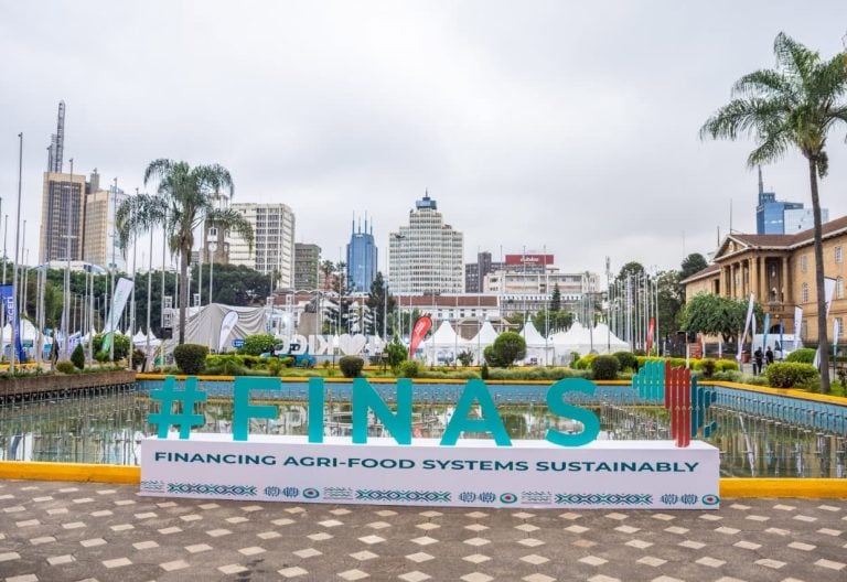 Africa Food Summit puts Ksh129T food financing gap under spotlight as imports rise