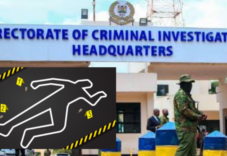 DCI detectives arrest man linked to Joy Kanini’s murder