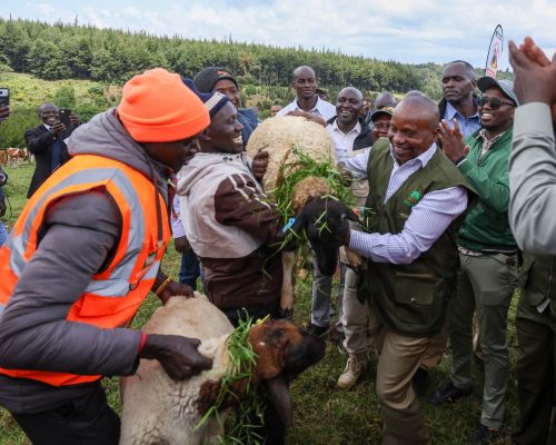 Deputy President Kithure Kindiki at Kaptagat Forest
