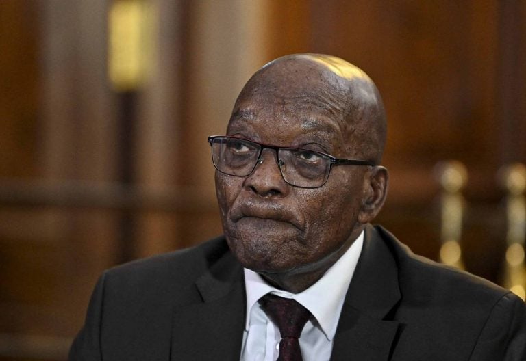 Zuma showing South Africa middle finger by meeting Gupta brother – minister