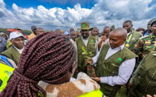 Inside the Kaptagat Forest conservation approach that impressed Kindiki
