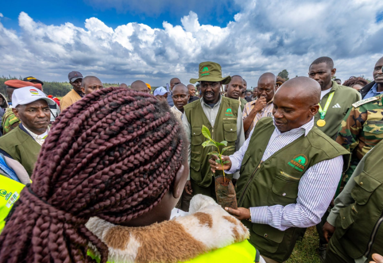 Inside the Kaptagat Forest conservation approach that impressed Kindiki