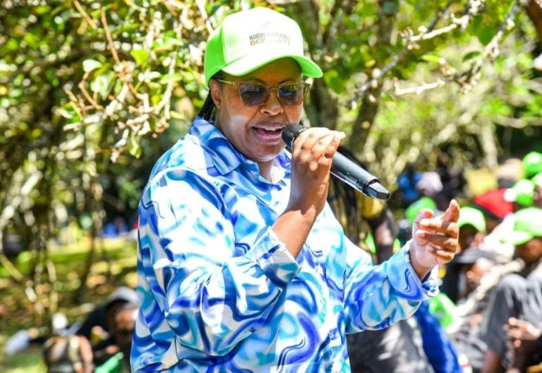 Court suspends IEBC’s Ksh1.5 million fine against Kipipiri MP Wanjiku Muhia