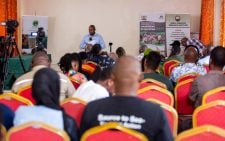 Kenya charts new course for mangrove conservation