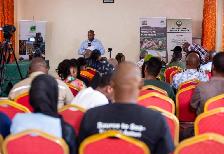 Kenya charts new course for mangrove conservation