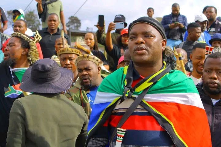 Ngizwe Mchunu: Julius Malema is a failed politician over South Africa’s illegal migrant crisis