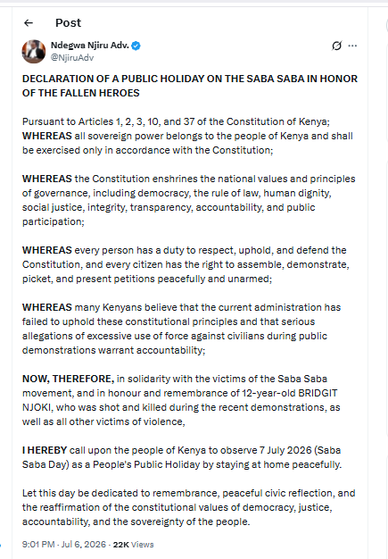Lawyer Ndegwa Njiru speaks ahead of possible Saba Saba protests. PHOTO/Screengrab by People Daily Digital from X by @NjiruAdv