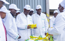 Mudavadi rallies youth to embrace tea farming as govt eyes sector reforms