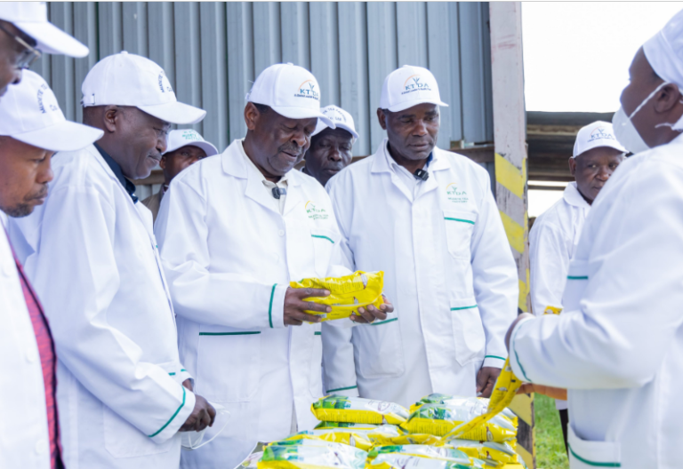 Mudavadi rallies youth to embrace tea farming as govt eyes sector reforms