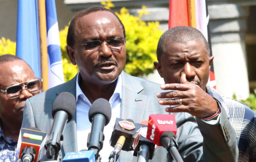 Wiper Party Leader Stephen Kalonzo Musyoka