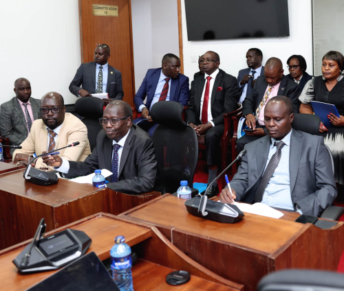 The Senate Committee on County Public Investments and Special Funds, durng a meeting on July 8, 2026. PHOTO/https://www.facebook.com/ParliamentKE