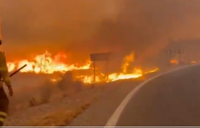 Wildfires kill 12 in Spain as deadly heatwave grips Southern Europe