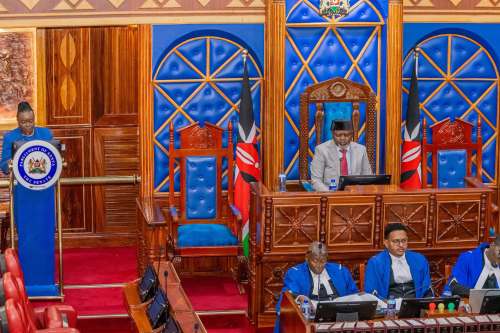 The Senate during a session. PHOTOhttps://www.facebook.com/photo